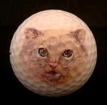 kitty2.jpg